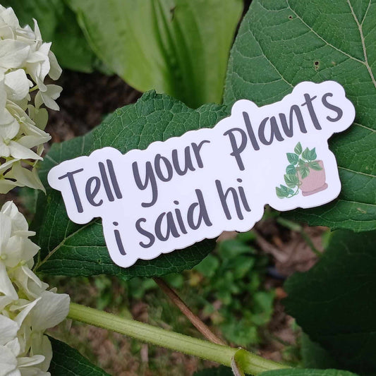 Tell your plants I said hi sticker on top of a hydrangea plant. There is a potted pothos plant in a brown planter with a lot of leaves.  A white bloom as well as green leaves are in the background.